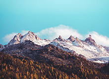 开云·云端里的温度与信任